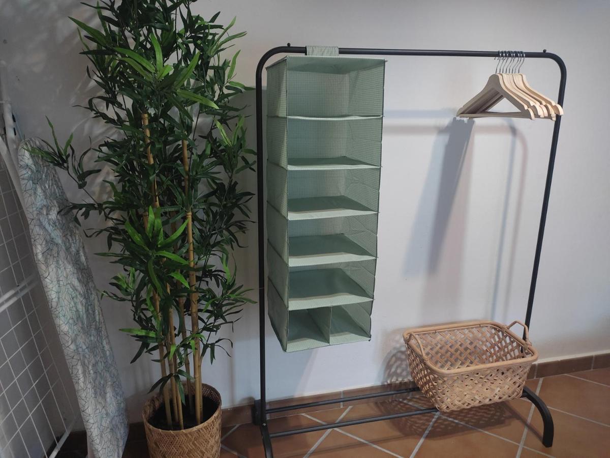 Apartamento Dona Lola 赫雷斯 外观 照片
